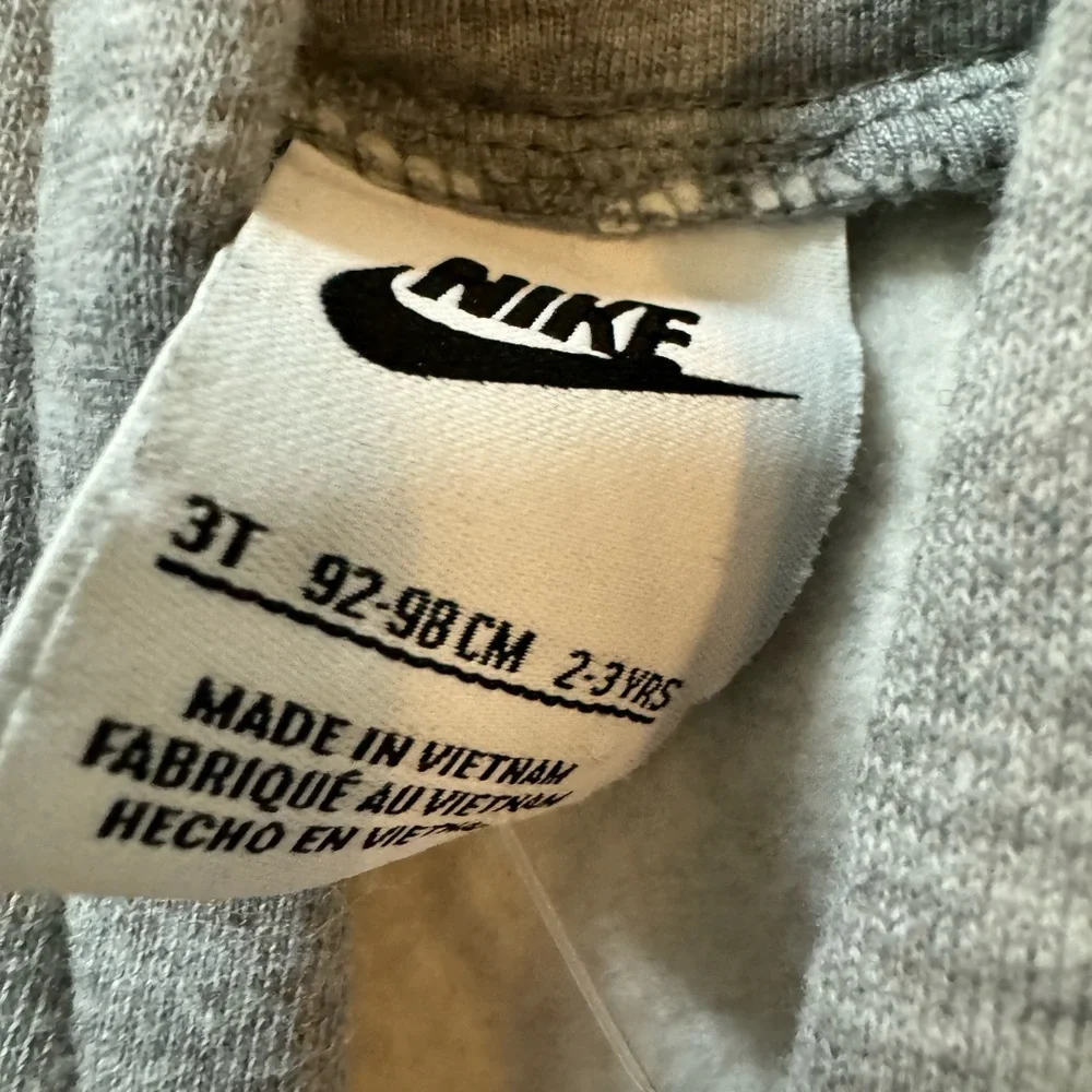 Nike Metallic Pullover Hoodie (Little Kids size 3T - Picture 2 of 4